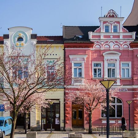Apart U Lva Всетин Экстерьер фото